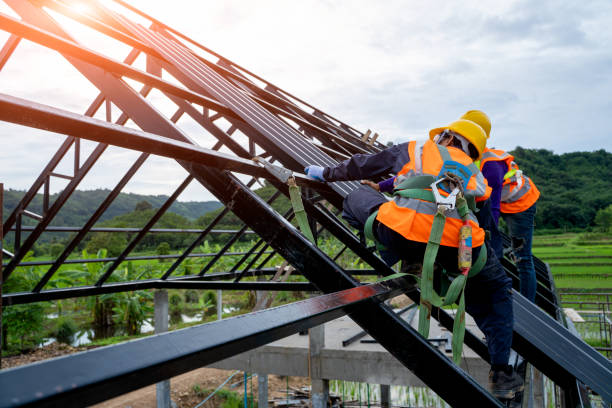 Best Roof Maintenance Services  in Sebewaing, MI