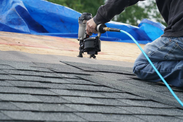 Best Roof Repair Services  in Sebewaing, MI