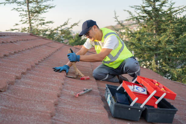 Best Roofing Contractor Near Me  in Sebewaing, MI