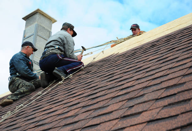 Roof Waterproofing Services in Sebewaing, MI