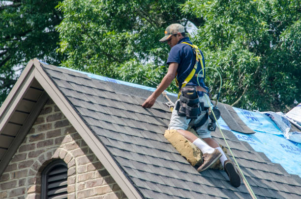 Best Storm Damage Roof Repair  in Sebewaing, MI